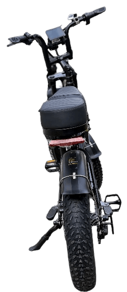 V20 Cargo Fat Tyre Electric Bike frame view 4