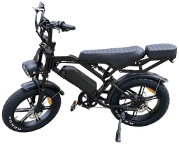 V20 Cargo Fat Tyre Electric Bike frame view 1