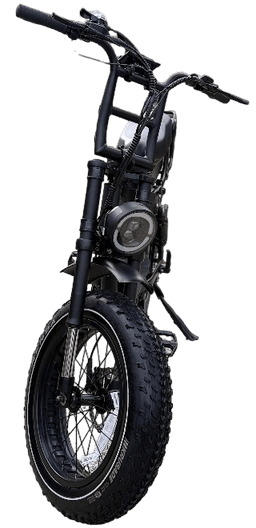 Linkseride Moped-Style Fat Tyre Electric Bike frame view 2