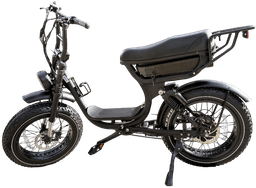 Linkseride Moped-Style Fat Tyre Electric Bike frame view 1