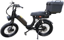 HIJOE Black Cat Dual Motor Electric Bike frame view 1
