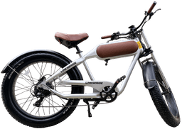 Linkseride OTANGO Retro Fat Tyre Electric Bike frame view 4