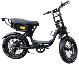 Linkseride Moped-Style Fat Tyre Electric Bike frame view 3