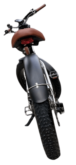 Linkseride OTANGO Retro Fat Tyre Electric Bike frame view 3