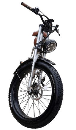 Linkseride OTANGO Retro Fat Tyre Electric Bike frame view 2