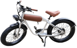 Linkseride OTANGO Retro Fat Tyre Electric Bike frame view 1