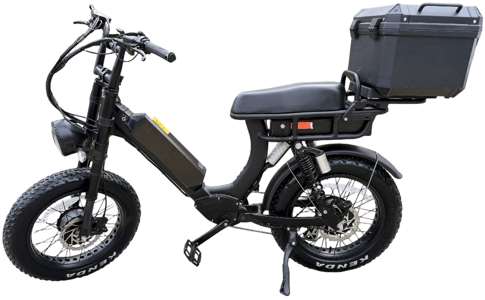 HIJOE Black Cat Dual Motor Electric Bike